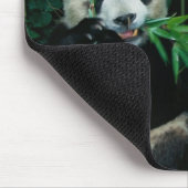 Zwei Pandas essen zusammen Bambus, Wolong Mousepad (Ecke)