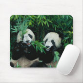 Zwei Pandas essen zusammen Bambus, Wolong Mousepad (Mit Mouse)