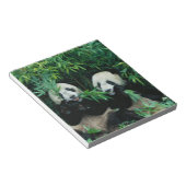 Zwei Pandas essen zusammen Bambus, Wolong Notizblock (angewinkelt)