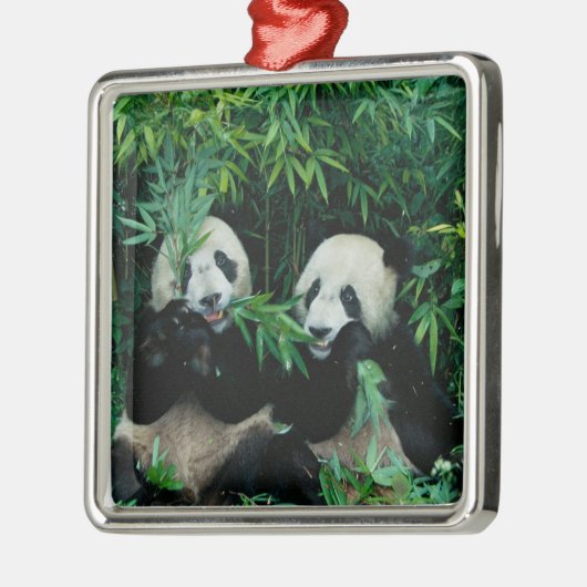 Zwei Pandas essen zusammen Bambus, Wolong Ornament Aus Metall (Links)