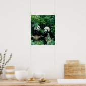 Zwei Pandas essen zusammen Bambus, Wolong Poster (Küche)