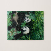 Zwei Pandas essen zusammen Bambus, Wolong Puzzle (Horizontal)