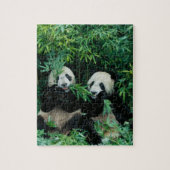 Zwei Pandas essen zusammen Bambus, Wolong Puzzle (Vertikal)