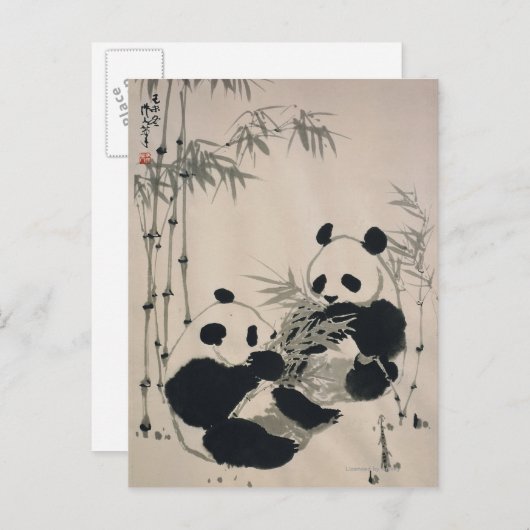 Zwei Pandas Postkarte (Vorne/Hinten)