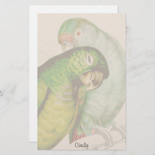 Zwei Papageien-Vogel-Tier-Tier-Briefpapier Briefpapier (Vorne/Hinten)