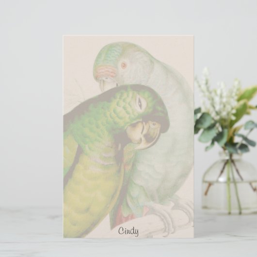 Zwei Papageien-Vogel-Tier-Tier-Briefpapier Briefpapier (Stehend Vorderseite)