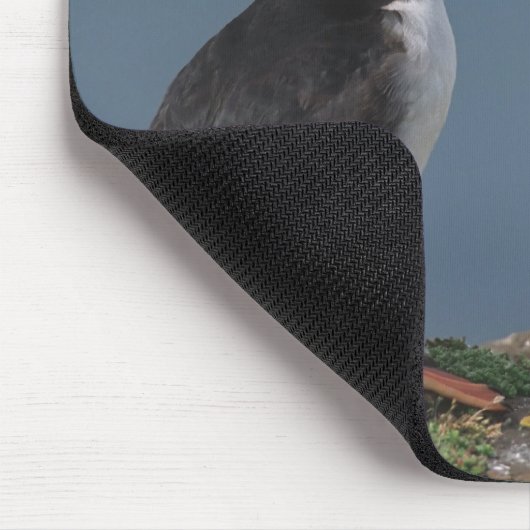 Zwei Papageientaucher Mousepad (Ecke)