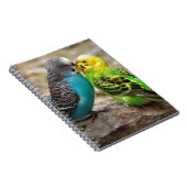 Zwei Parakeets Notizblock (Rechte Seite)