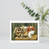 Zwei Pekingese Hunde Postkarte (Stehend Vorderseite)