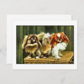 Zwei Pekingese Hunde Postkarte (Vorne/Hinten)
