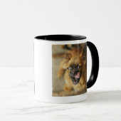 Zwei Pekingese Hunde Tasse (VorderseiteRechts)