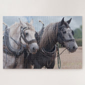 zwei Percheron-Puzzle Puzzle (Horizontal)