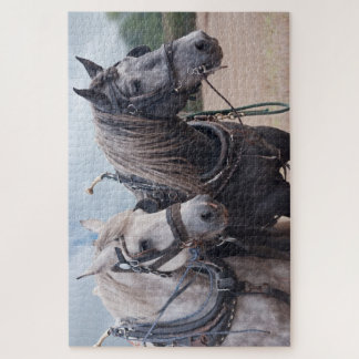 zwei Percheron-Puzzle Puzzle