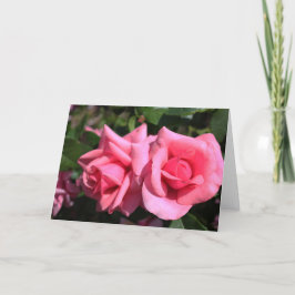 zwei perfekte Blume in heißen rosa Rose. Liebe Feiertagskarte