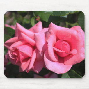 zwei perfekte heiß rosa Rosenblumen. Liebe Mousepad