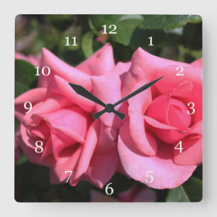 zwei perfekte heiß rosa Rosenblumen. Liebe Quadratische Wanduhr