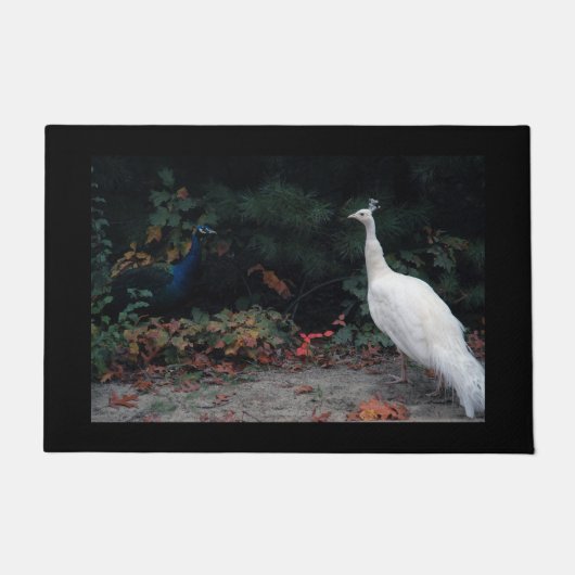 Zwei Pfau-Tür-Matte Fußmatte (Vorderseite)