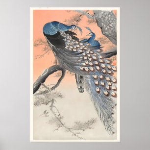 Zwei Pfauen auf einem Baumzweig Japanische Feine K Poster