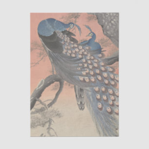 Zwei Pfauen auf einem Baumzweig von Ohara Koson Seidenpapier