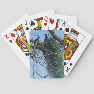 Zwei Pfauen in einem Baum Poker Karten Spielkarten