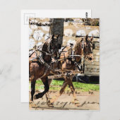Zwei Pferd Team Mixed Media Collage Postkarte (Vorne/Hinten)