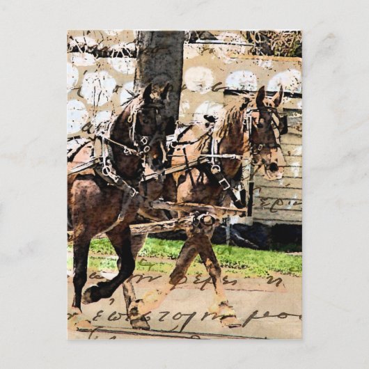 Zwei Pferd Team Mixed Media Collage Postkarte (Vorderseite)