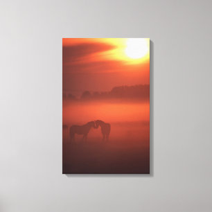 Zwei Pferde am Sonnenuntergang Leinwanddruck