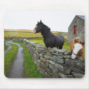Zwei Pferde auf Bauernhof in ländlichem England Mousepad