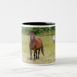 Zwei Pferde auf einem Feld Zweifarbige Tasse