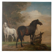 Zwei Pferde auf einer Wiese nahe dem Tor (Paulus P Fliese (Vorderseite)