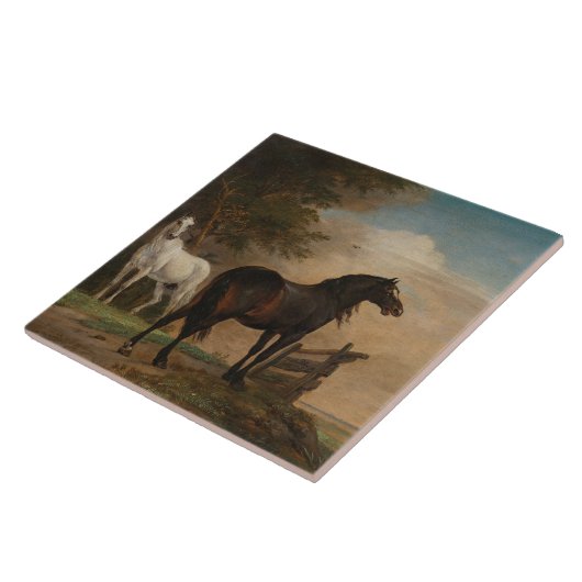 Zwei Pferde auf einer Wiese nahe dem Tor (Paulus P Fliese (Seite)