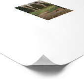 Zwei Pferde auf Weide Poster (Ecke)