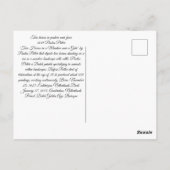 Zwei Pferde auf Weide Postkarte (Rückseite)