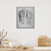 Zwei Pferde aus dem Vallardi-Album Poster (Küche)