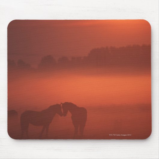 Zwei Pferde bei Sonnenuntergang Mousepad (Vorne)