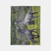 Zwei Pferde Buck and Play Fleecedecke (Vorderseite)