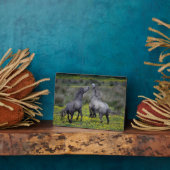 Zwei Pferde Buck and Play Fotoplatte (Seite)