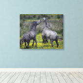 Zwei Pferde Buck and Play Leinwanddruck (Insitu (Holzboden))