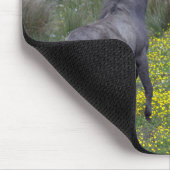 Zwei Pferde Buck and Play Mousepad (Ecke)