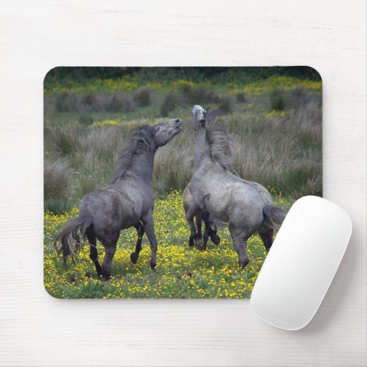Zwei Pferde Buck and Play Mousepad (Mit Mouse)