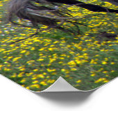 Zwei Pferde Buck and Play Poster (Ecke)