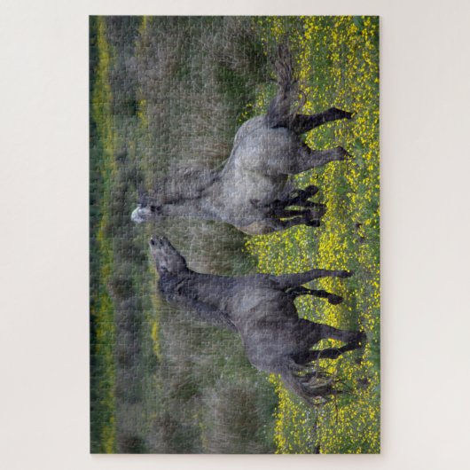 Zwei Pferde Buck and Play Puzzle (Vertikal)