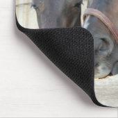 Zwei Pferde Chewin einen Zaun Mousepad (Ecke)