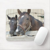Zwei Pferde Chewin einen Zaun Mousepad (Mit Mouse)