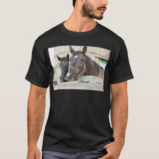 Zwei Pferde Chewin einen Zaun T-Shirt