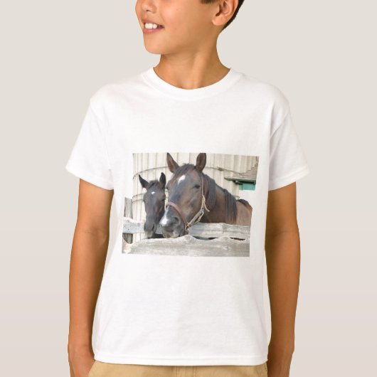 Zwei Pferde Chewin einen Zaun T-Shirt (Vorderseite)