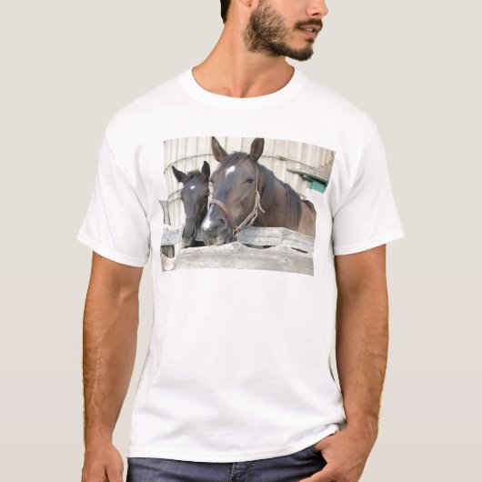 Zwei Pferde Chewin einen Zaun T-Shirt (Vorderseite)