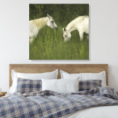 Zwei Pferde fressen Gras Leinwanddruck (Insitu (Schlafzimmer))
