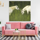 Zwei Pferde fressen Gras Leinwanddruck (Insitu (Wohnzimmer))