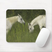 Zwei Pferde fressen Gras Mousepad (Mit Mouse)